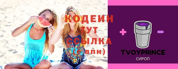 прущий лед Алзамай