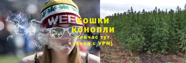 2c-b Рославль