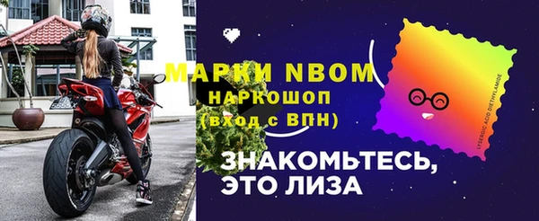 прущий лед Алзамай